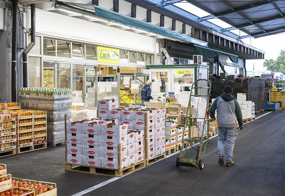 cococo-gruppo-ginesi_uno