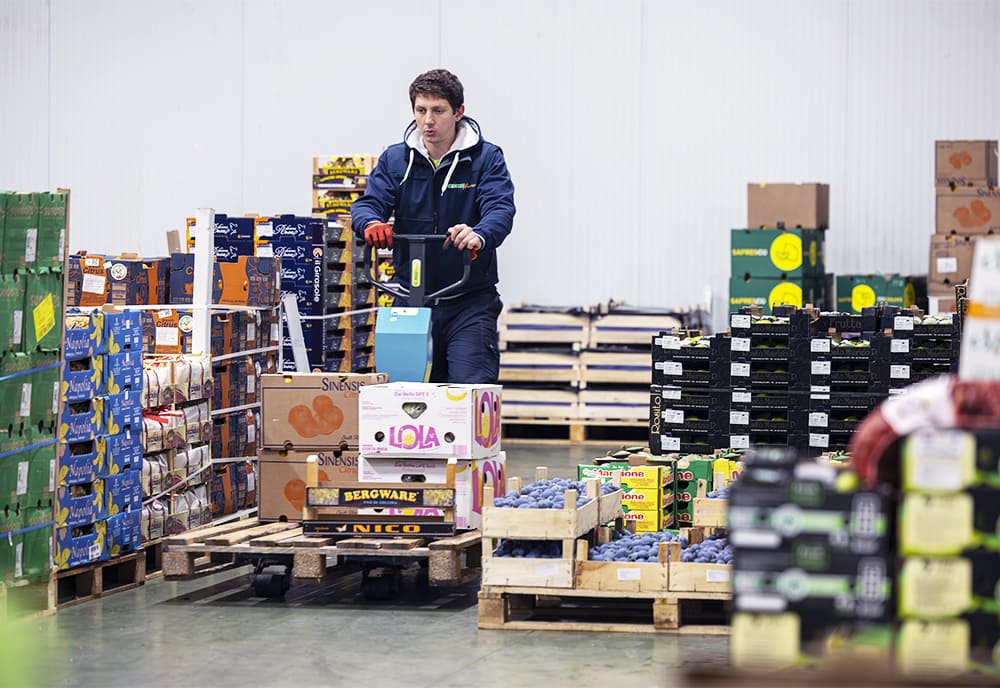 gruppo-ginesi-bergamo_uno